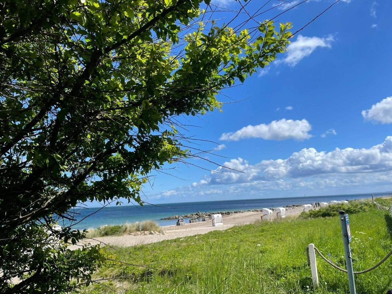Ferien Am Strand, Urlaub An Der Ostsee Ferienwohnung Am Strand In Der Naehe Der Schlei, Umgebung Von Kappeln U Damp Brodersby-Goltoft エクステリア 写真
